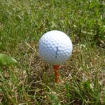 Golf Ball Free Stock Photo - Public Domain Pictures